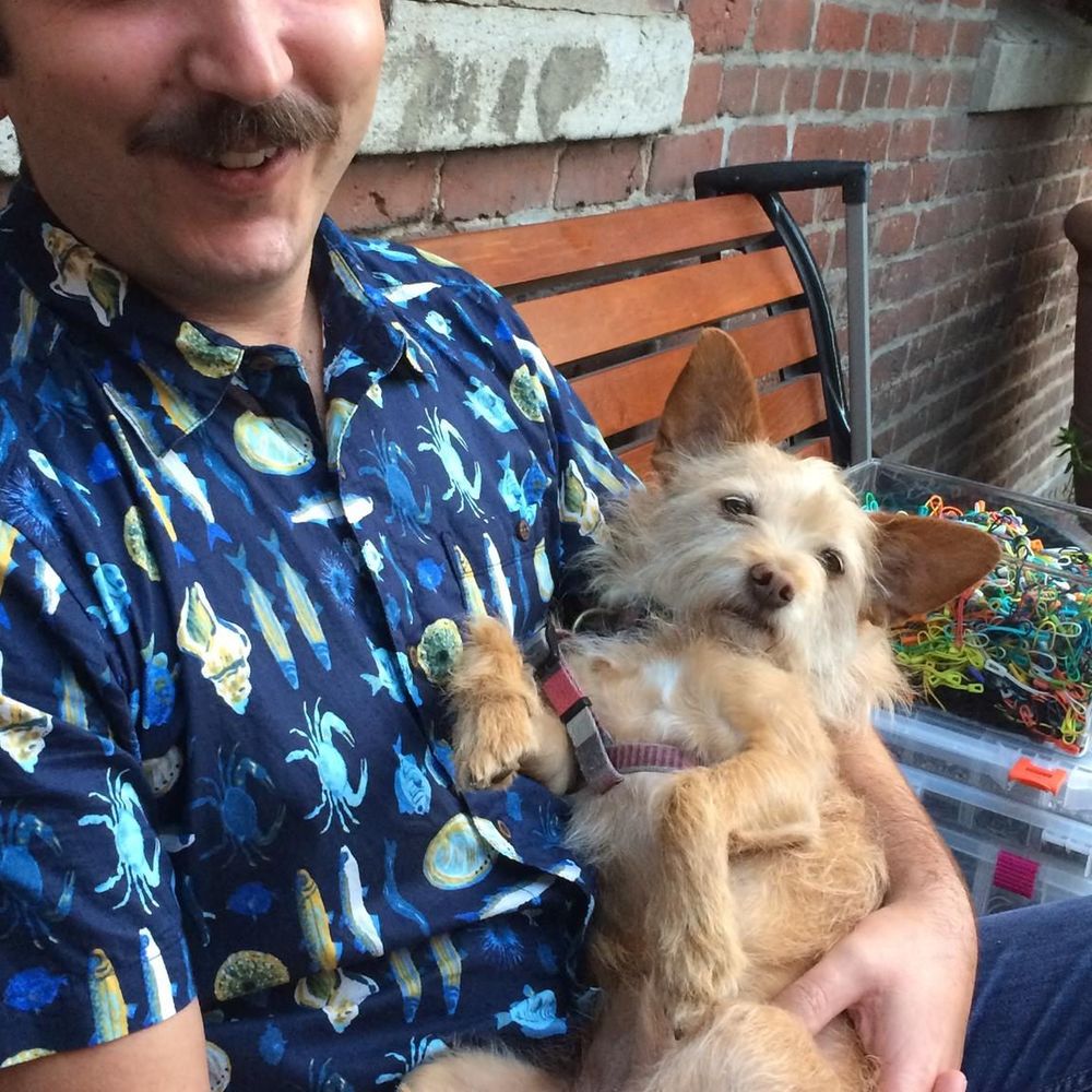 Meet your Posher, Gil